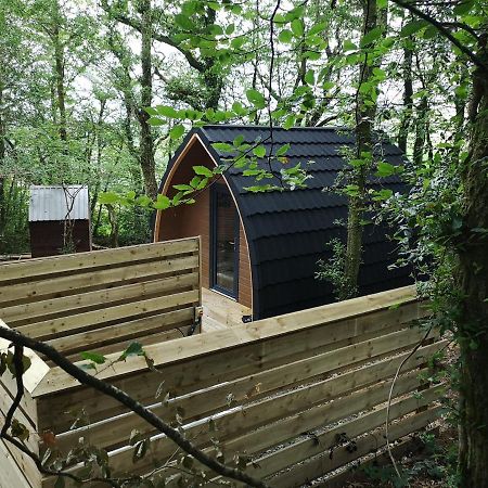 The Pod-Hot Tub-Woodland Lodges-St Clears-קארמרת'ן מראה חיצוני תמונה