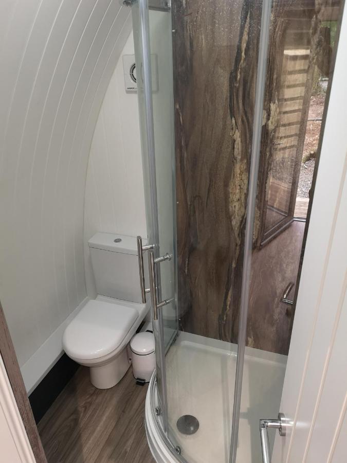 The Pod-Hot Tub-Woodland Lodges-St Clears-קארמרת'ן מראה חיצוני תמונה