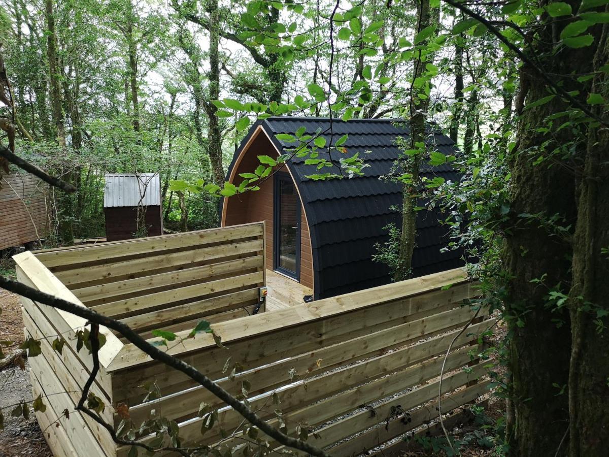 The Pod-Hot Tub-Woodland Lodges-St Clears-קארמרת'ן מראה חיצוני תמונה