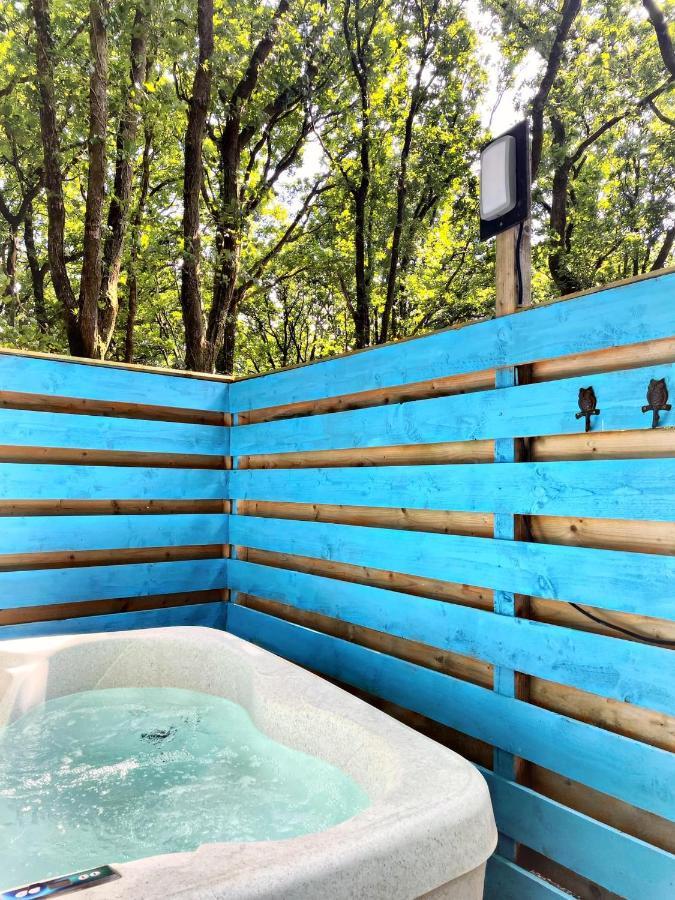 The Pod-Hot Tub-Woodland Lodges-St Clears-קארמרת'ן מראה חיצוני תמונה